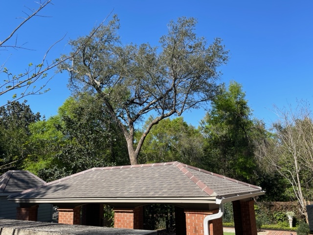 Tile Hip and Ridge with Atlas Pinnacle Shingle Install - Pensacola, FL